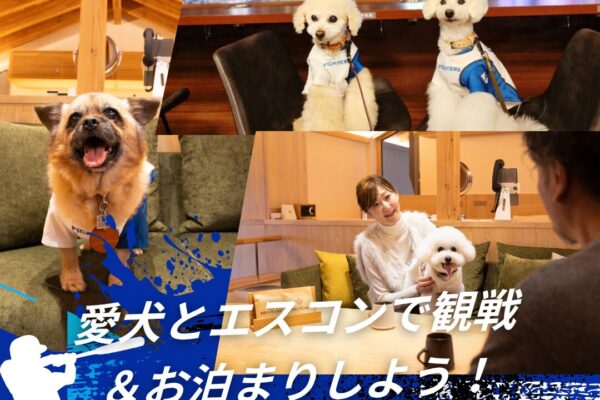 ＼わんにゃんハート会員優待プラン／エスコンDOG SUITE 観戦チケット付き宿泊